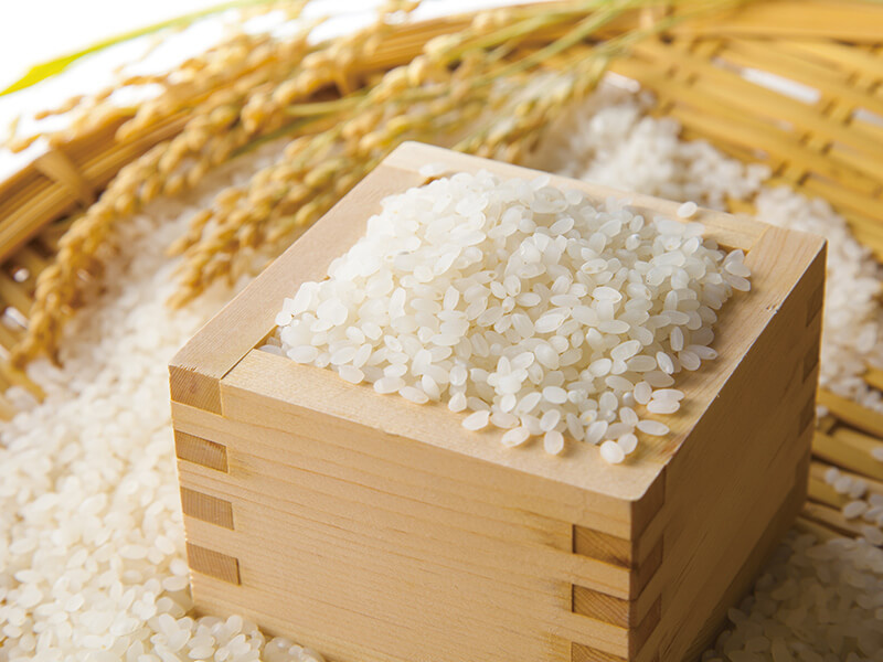 米粒の画像